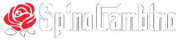 spinogambino